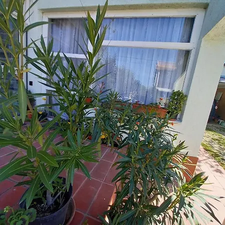 Affittacamere Valéria