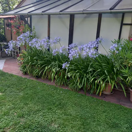 Valeria Vendeghaz Hévíz