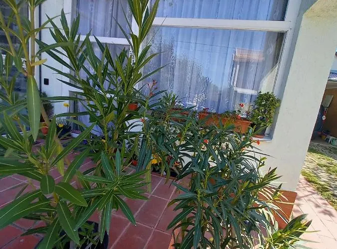 Konukevi Valeria Vendeghaz