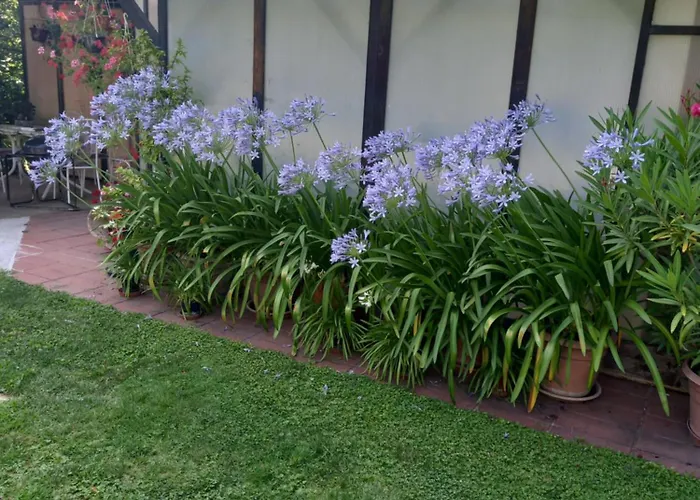 Valeria Vendeghaz Hévíz